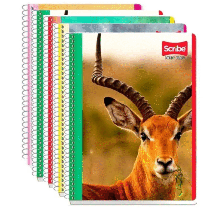 5 Cuadernos Profesional Scribe 100 Hojas Con Imagen