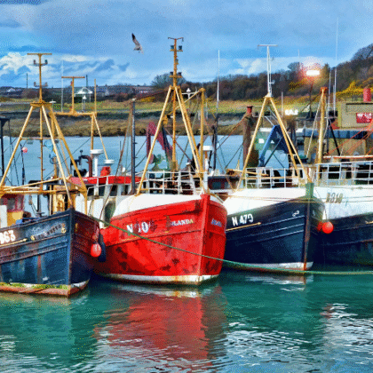 vehiculos acuaticos y Nautica