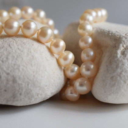 Accesorios del vestir